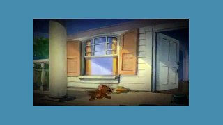 Tom And Jerry Cartoon - The Truce Hurts