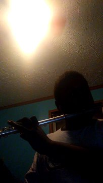 Tank cowboy bebop flute cover