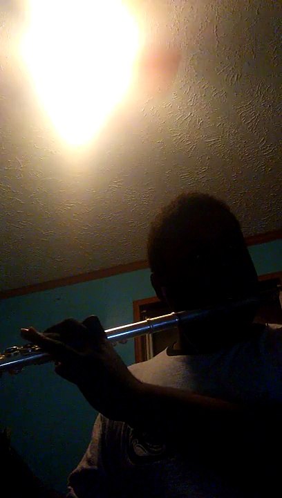 Tank cowboy bebop flute cover
