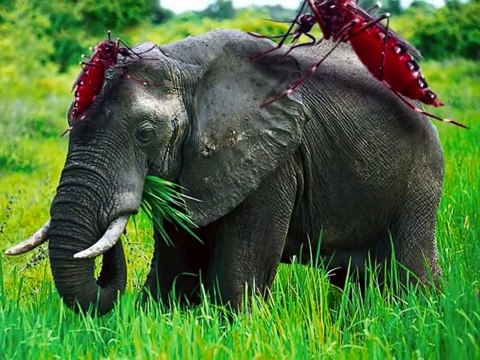 Мультик про комара. Что такое комары. Рассказ для детей. Познавательный мультфильм