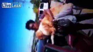 Ghetto Walmart shopper leaves dog in hot car-fight ensues!