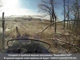 охота на волков с квадроцикла на Донбассе