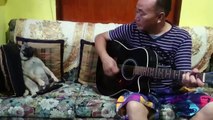 Mizo Man Sings a cute puppy PUG to sleep(PUG lullaby)