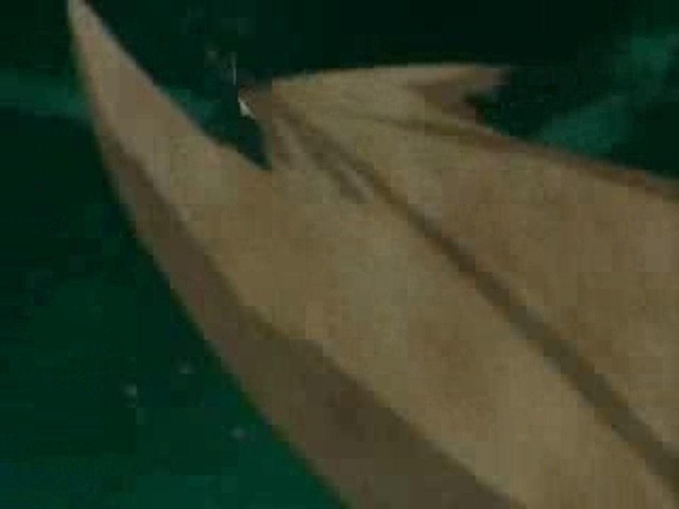 AMV NAR2