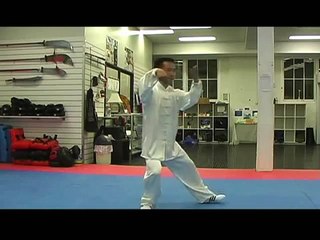 Tai Chi 85 Forms, Part 1 ~ Traditional Yang Style