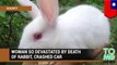 Pet rabbit died, woman crashed car into utility pole because of tears - TomoNews