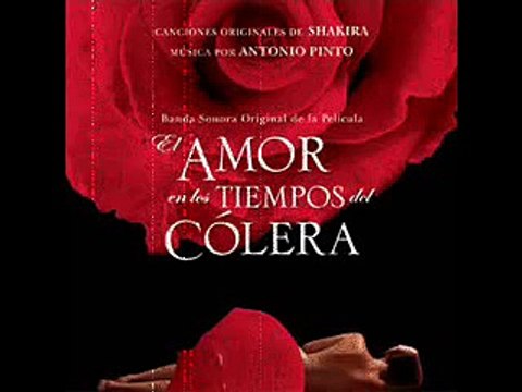 EL AMOR EN LOS TIEMPOS DEL COLERA (resumen)