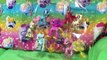 NEW My Little Pony Toys R Us Exclusive Ponymania Friendship Blossom Collection Cadance Roseluck