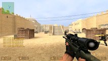 Counter Strike Source headshot gameplay