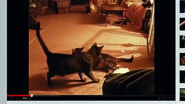 EXCLUSIVE - Night at the Museum Secret of the Tomb Official Trailer #2 (2014) - Robin Williams HD