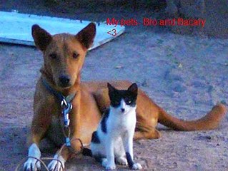 My Peace Corps Experience Mali, West Africa