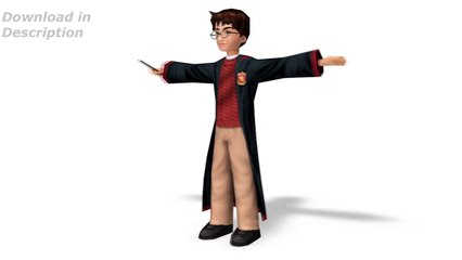 Harry Potter and the Chamber of Secrets video game- Harry Potter Model