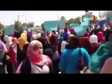 مسؤول سوداني يشتم مذيعه قناه العربيه ويقول المظاهرات في السودان فوتشوب لا اكثر