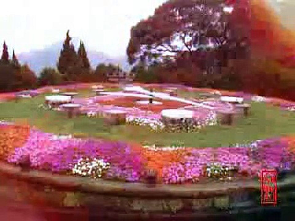 TPE_Flowers Clock in YangMin Garden taipei