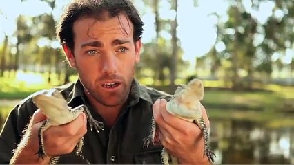Wild Animal Encounters - Ben Britton - Saltwater Crocodile