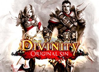 Divinity: Original Sin, Antes y después de Kickstarter