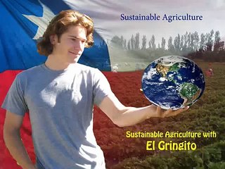 Sustainable Agriculture in Chile