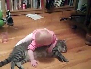 Kedinin yaramaz bebekle imtihanı çok sevimli