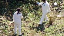 Mexico: independent body concludes 43 missing students not cremated in Cocula