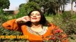 Mere Peeche Pai Gaya - Sunbul - Pakistani B Grade Mujra No.84 - PK MUJRA DANCE
