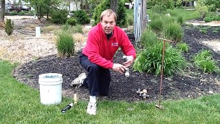 Irrigation System Startup Part 1, preparing the system and maintenance tips