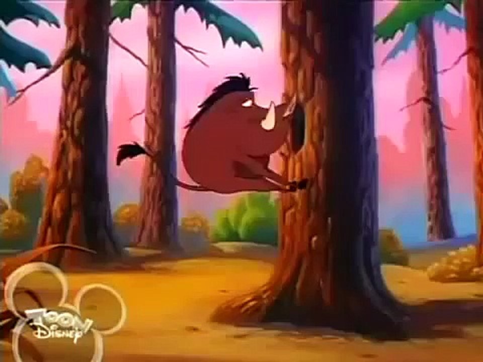 Timon and Pumbaa Episode 57 Maine Iacs