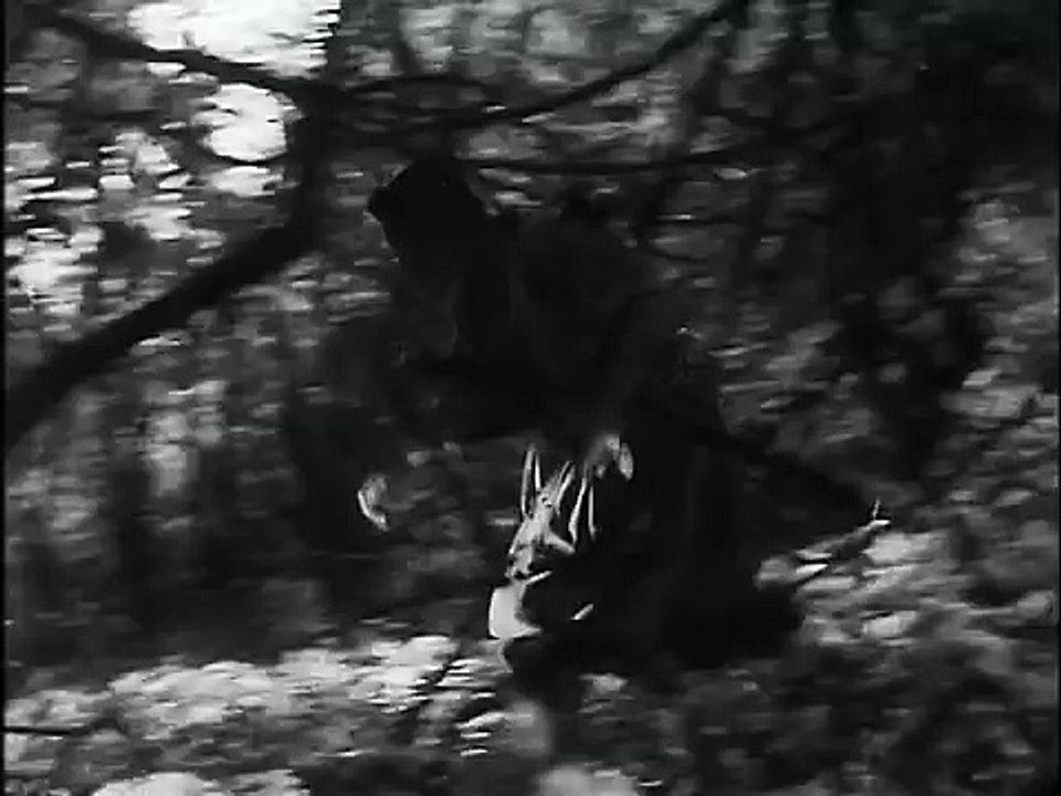 SEVEN SAMURAI (1954) Trailer