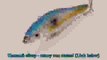 Fishing Lure Minnow Crankbait Hard Bait Fresh