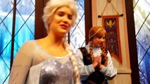ANNA & ELSA'S GIFTS FROM OTHER PRINCESSES @ DCA!