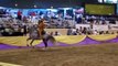 Rancho Jimenez Charros - Fiesta of the Spanish Horse