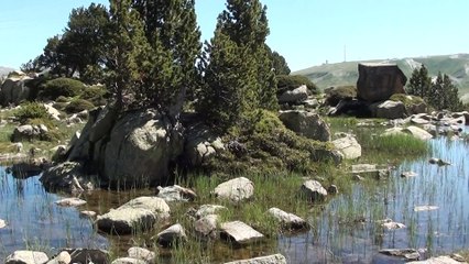 26.06.2015 - Etangs des Pessons