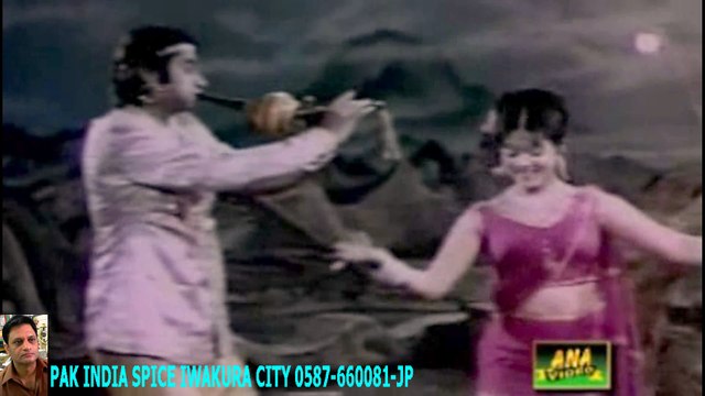 JADU GARA NOOR JHAN-PAK PUNJABI SONG ーHD ハラルスパイス岩倉市ジャパンSPICE FOOD JP_1