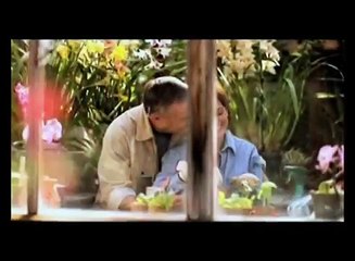 Multifokal Linsen am Auge - wie funktioniert das? Multifokallinse Multifokallinsen