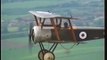 Reaching for the Skies - Sopwith Pup