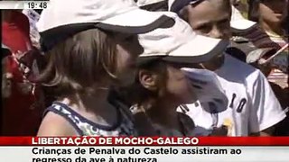 Crianças de Penalva do Castelo assistem a libertação de mocho galego - Notícias SIC Online