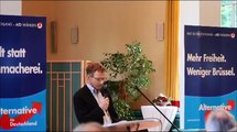 AfD Pankow - Vortrag Elsässer Teil 1