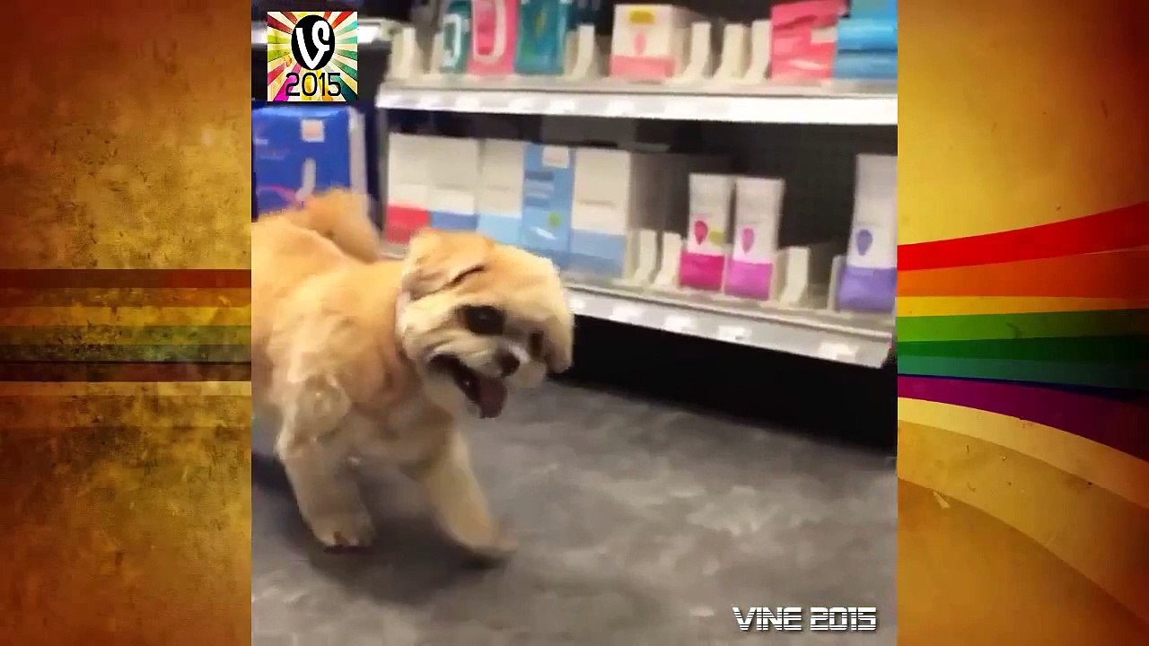 marnie the dog vine