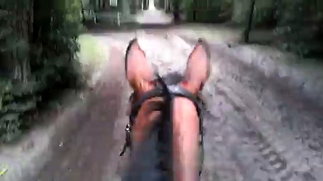 15-09-06 - Chantilly 1