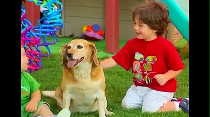 اللغة العربية للاطفال - الحيواناتTeach Kids Arabic Animals