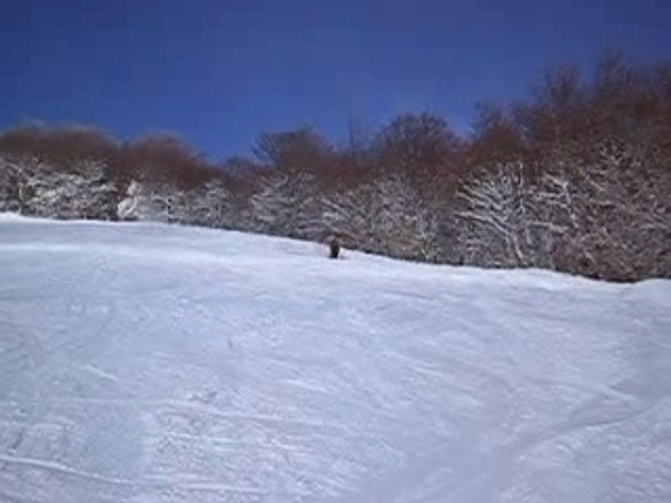 Moi saut