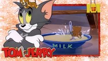 Tom and jerry cartoon full episodes 2014 tom and jerry cartoon full episodes New