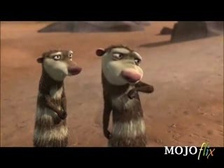 Opossums