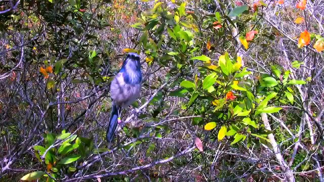Nature is in IN Florida | Springs, State Parks, National Seashore