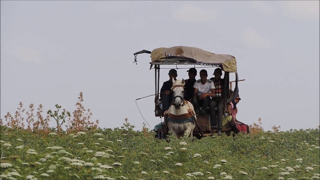 MAROC - Printemps 2015