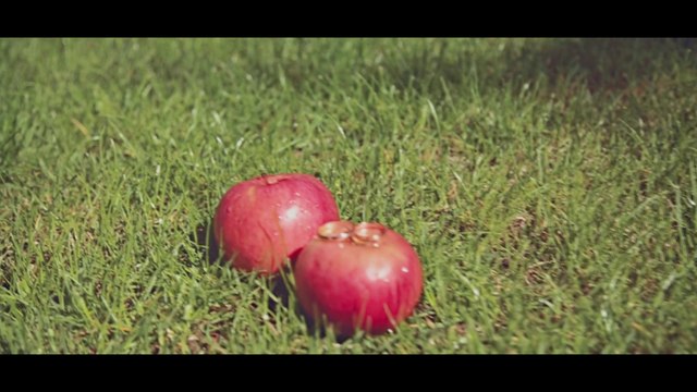 Свадебное видео Прогулка Ирина и Максим