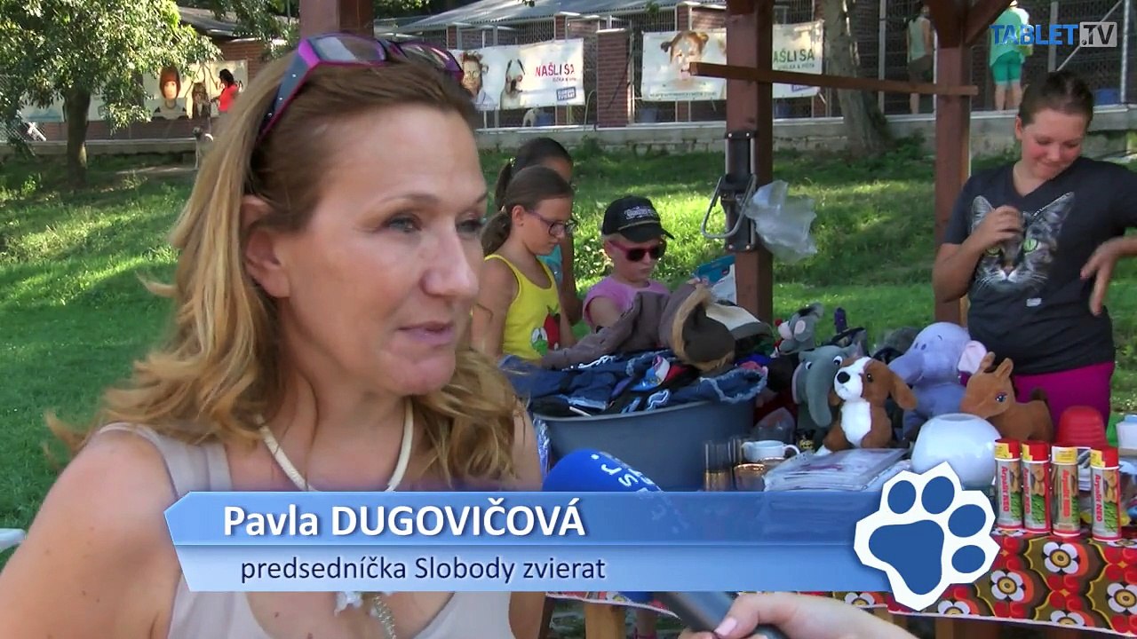 Rekordný odchyt mačiek v Bratislave: Mačky vymenili ulicu za útulok