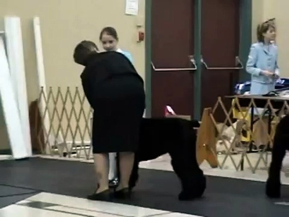 Mara dog show 08