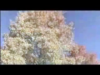 John Dillinger, from 'Outlaws & Lawmen' series.