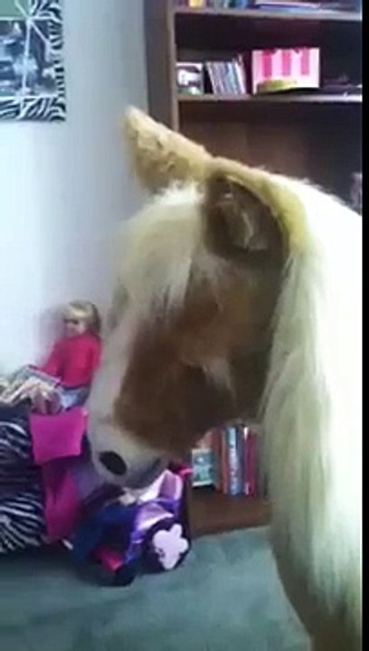 Butterscotch Pony furreal friends