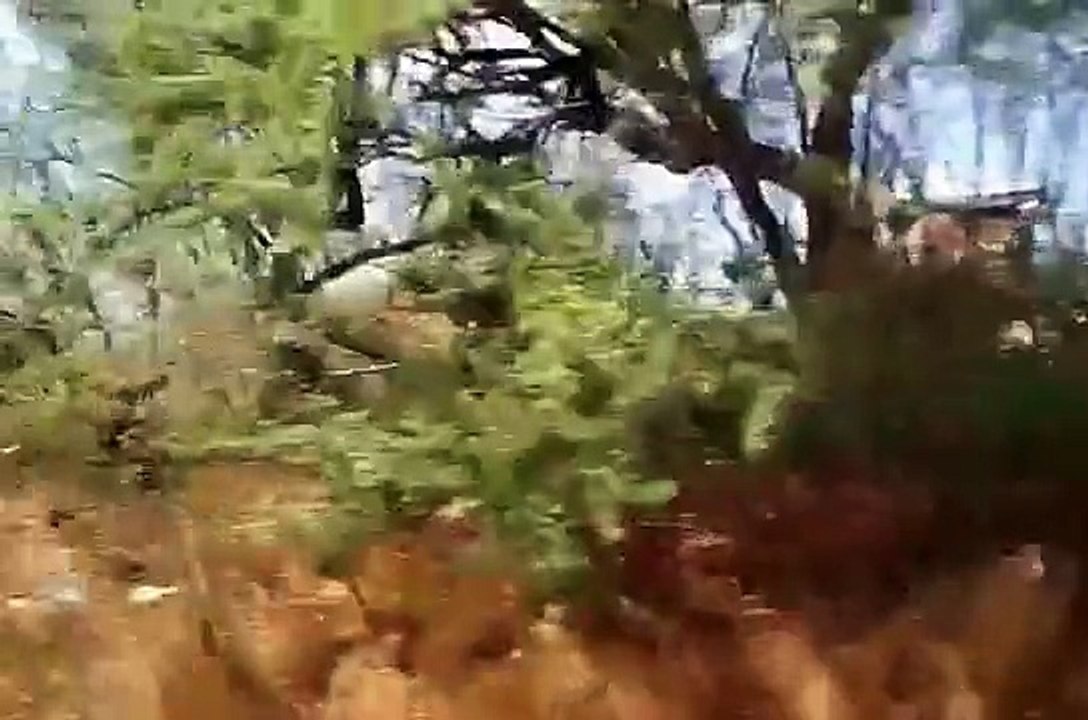 Yokohama Bay Hawaii ハワイ オアフ島 北西側の様子が意外だった。